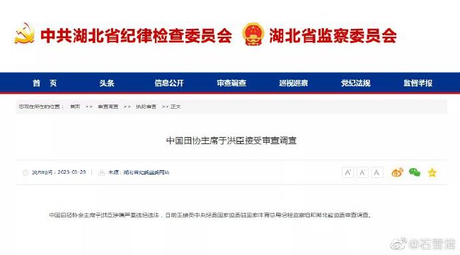 同时，在国内的宣传策略上，应跳出“天真”“子供向”的标签，强调作品的深度与情感共鸣，吸引更多成年观众。